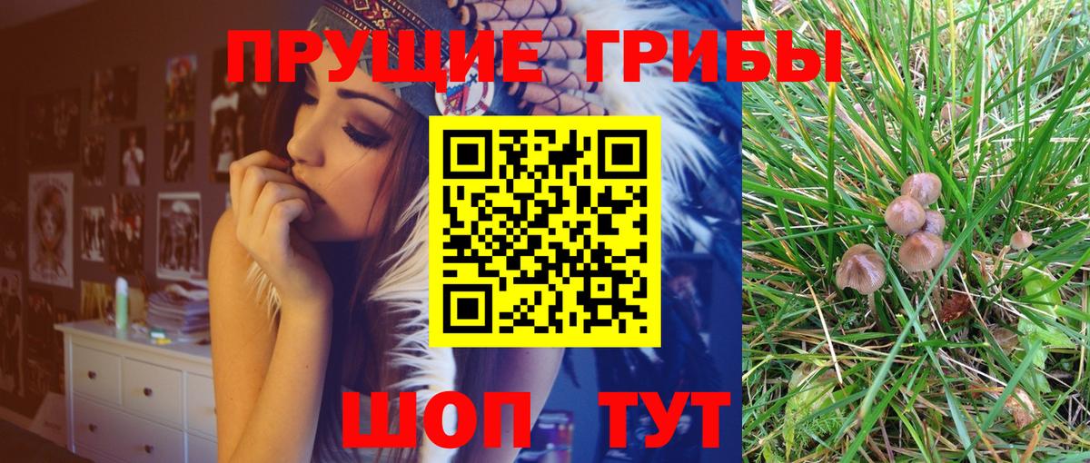Калач-на-Дону  Псилоцибиновые грибы Psilocybine cubensis  Вход с VPN  Галлюциногенные грибы мицелий 